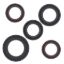 VERTEX ENGINE OIL SEAL KIT