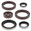 VERTEX ENGINE OIL SEAL KIT