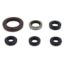VERTEX ENGINE OIL SEAL KIT