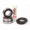 PIVOT WORKS REAR WHEEL AND SEAL KIT KAWASAKI STREET BIKE