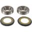 PIVOT WORKS STEERING STEM BEARING KIT
