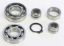 HOTROD'S TRANSMISSION BEARING KITS (TBK0016)