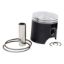 VERTEX CAST REPLICA PISTON KIT