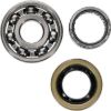 HOT RODS COUNTER BALANCER KIT