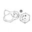YAM YZ125 05-20 BOTTOM END GASKET SET