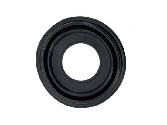 MIKUNI DIAPHRAGM
