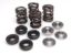 KIBBLEWHITE VALVE SPRING KIT .375" LIFT