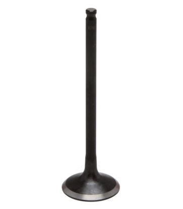 KPMI ENGINE VALVE