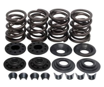 KPMI SPRING KIT, LIGHTWEIGHT RACING, 0.480" LIFT, HD
