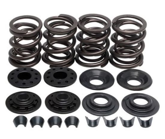 KPMI SPRING KIT, LIGHTWEIGHT RACING, 0.480" LIFT, HD