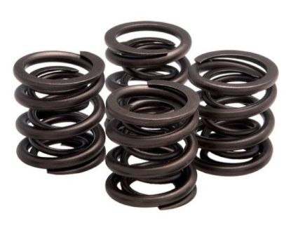 KPMI SPRINGS, OEM, CR-SI, IN/EX, VARIOUS HD® APPLICATIONS