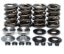 KPMI SPRING KIT, LIGHTWEIGHT RACING, 0.665" LIFT, HD