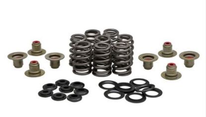 KPMI BEEHIVE SPRING KIT HT STEEL 0.465" LIFT