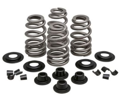 KPMI SPRING KIT, BEEHIVE, 0.610"" LIFT, 5/16" HD