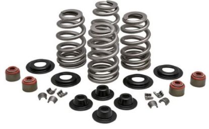 KPMI SPRING KIT, BEEHIVE, 0.610"" LIFT, 7MM HD