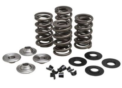 KPMI RACING SPRING KIT, TITANIUM, 0.650" LIFT, 5/16" HD