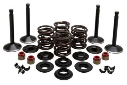 KPMI ENGINE KIT, HARLEY-DAVIDSON®, PANHEAD, 1948-'65