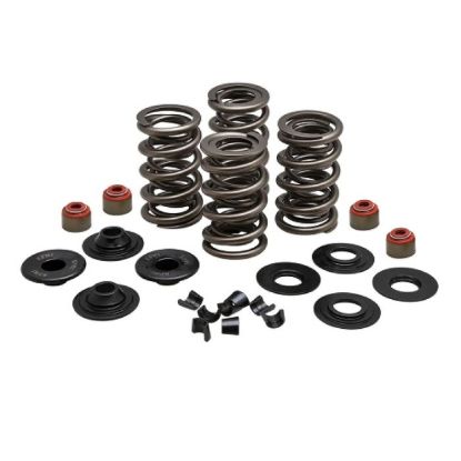 KPMI SPRING KIT, LIGHTWEIGHT RACING, 0.650" LIFT, 7MM HD