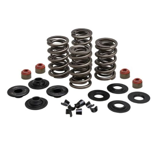 KPMI SPRING KIT, LIGHTWEIGHT RACING, 0.650" LIFT, 7MM HD