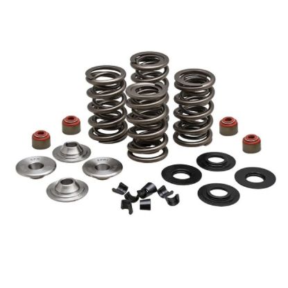 KPMI RACING SPRING KIT, TITANIUM, 0.675" LIFT, 7MM HD
