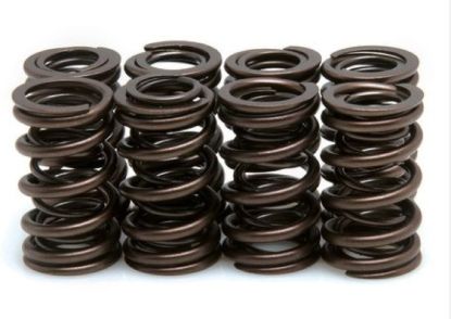 KPMI SPRING KIT SPRING ONLY .500" LIFT