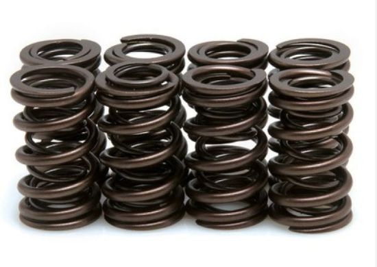 KPMI SPRING KIT SPRING ONLY .500" LIFT