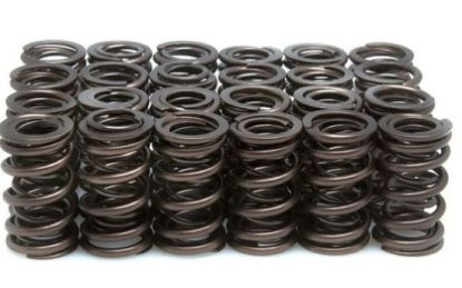KPMI SPRING KIT SPRING ONLY .500" LIFT HONDA® CBX 6 1979-1982