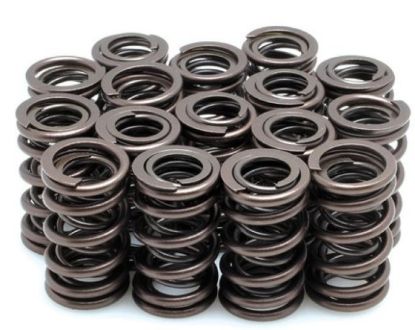 KPMI SPRING KIT, SPRING ONLY, 0.500" LIFT, HONDA®