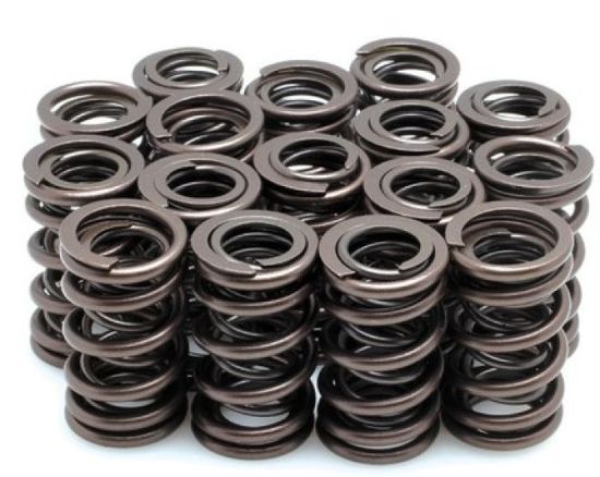 KPMI SPRING KIT SPRING ONLY .480" LIFT