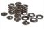 KPMI SPRING KIT OEM REPLACEMENT .410" LIFT