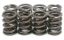 KPMI SPRING KIT, SPRING ONLY, 0.480" LIFT, SUZUKI®