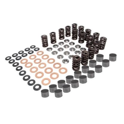 KPMI SHIM-IN-TAPPET SPRING KIT TITANIUM 0.445" LIFT