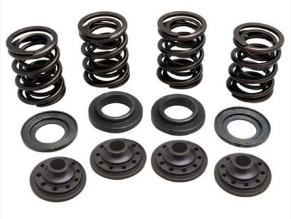 KPMI SPRING KIT OEM REPLACEMENT UP TO .415" LIFT