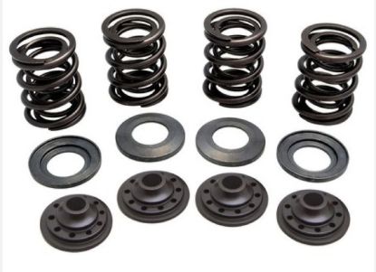 KPMI SPRING KIT OEM REPLACEMENT UP TO .415" LIFT