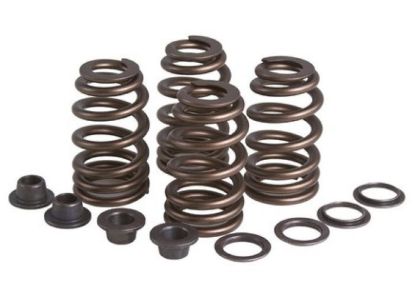 KPMI SPRING KIT, BEEHIVE, .460" LIFT, TRIUMPH®, 650, 1963-197