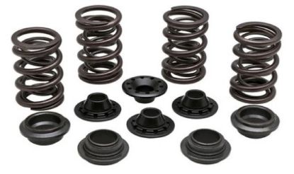 KPMI SPRING KIT LIGHTWEIGHT RACING .460" LIFT