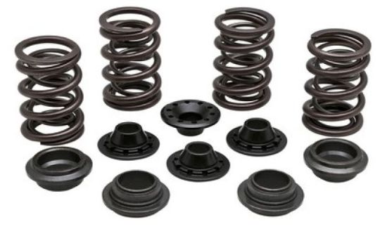 KPMI SPRING KIT LIGHTWEIGHT RACING .460" LIFT