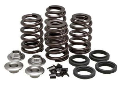 KPMI SPRING KIT 6.0MM CONV. BEEHIVE .460" LIFT