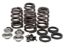 KPMI SPRING KIT 6.0MM CONV. BEEHIVE .460" LIFT