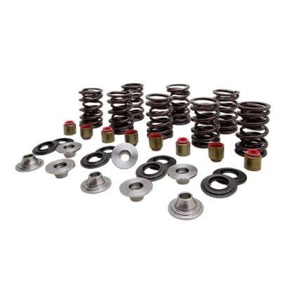 KPMI SPRING KIT, LIGHTWEIGHT RACING (TI), .450" LIFT