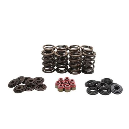 KPMI RACING SPRING KIT, HT STEEL, 0.520" LIFT