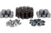 KPMI SHIM-IN-TAPPET SPRING KIT, TITANIUM, 0.445" LIFT