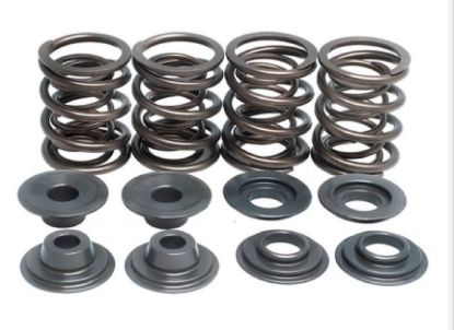 KPMI SPRING KIT, OEM REPLACEMENT, .450" LIFT