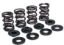 KPMI SPRING KIT, LIGHTWEIGHT RACING, .500"