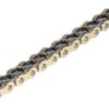 520 HDS CHAIN GOLD & BLACK 118-SL