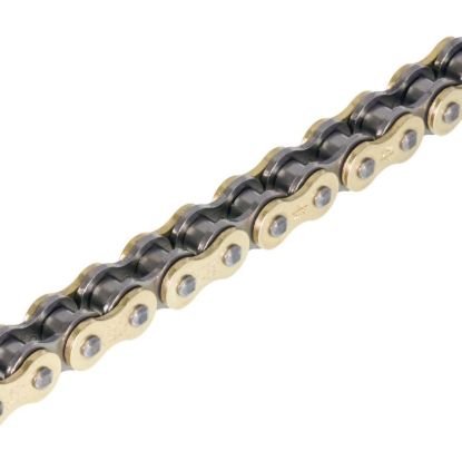 520 HDS CHAIN GOLD & BLACK 118-SL