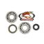 ALLBALLS CRANK BEARING AND SEAL KIT