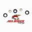 ALL BALLS REAR SHOCK BEARING KIT