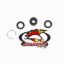 ALL BALLS REAR SHOCK BEARING KIT