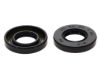 Picture of Wiseco Engine Seal Kit - B6017